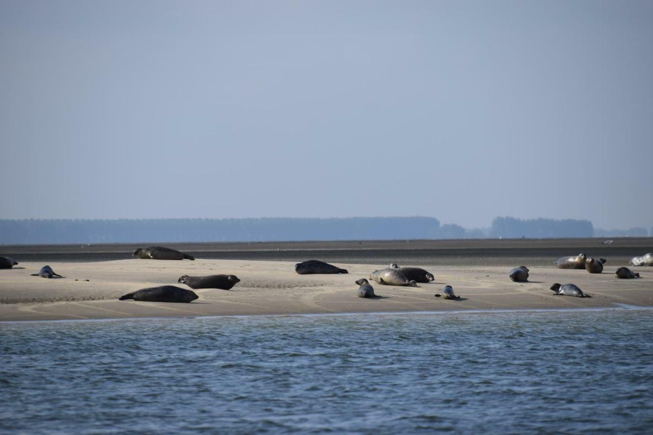 Baarland 斯尔德奥德营地酒店 外观 照片